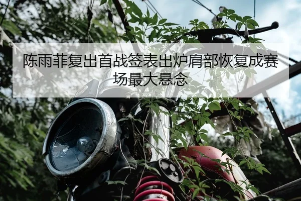 陈雨菲复出首战签表出炉肩部恢复成赛场最大悬念